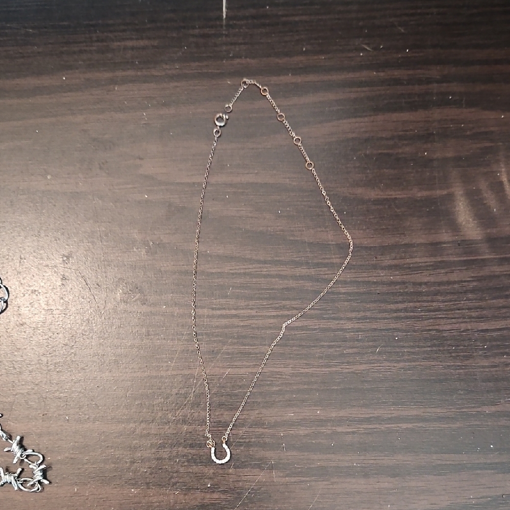 Elegant Horseshoe Necklace